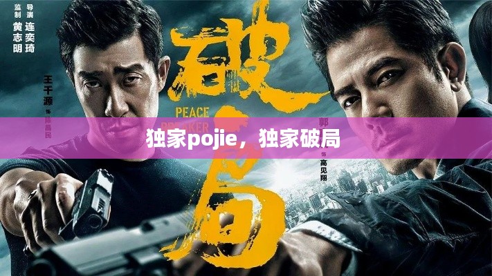 独家pojie，独家破局 