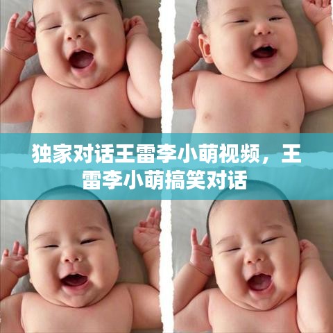 独家对话王雷李小萌视频，王雷李小萌搞笑对话 