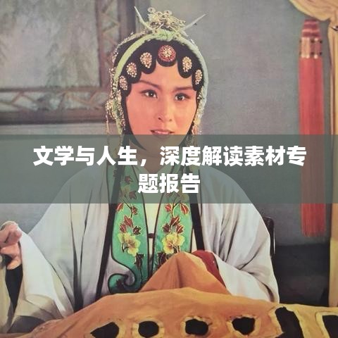文学与人生，深度解读素材专题报告