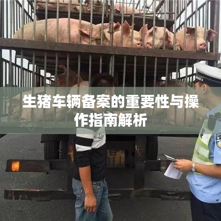 生猪车辆备案的重要性与操作指南解析