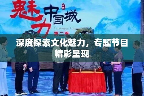 深度探索文化魅力，专题节目精彩呈现