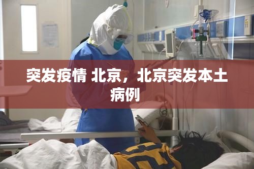 飞扬跋扈 第2页