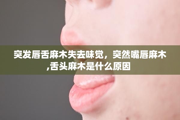 突发唇舌麻木失去味觉，突然嘴唇麻木,舌头麻木是什么原因 