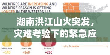 湖南洪江山火突发，灾难考验下的紧急应对与社会反思挑战