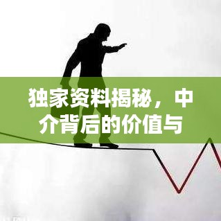独家资料揭秘，中介背后的价值与操作策略探讨