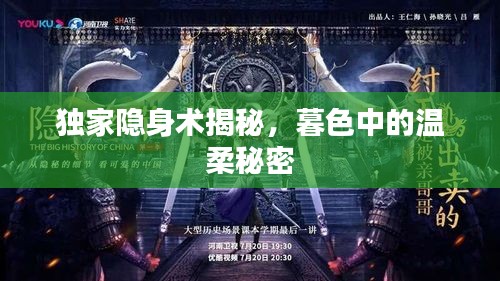 独家隐身术揭秘，暮色中的温柔秘密