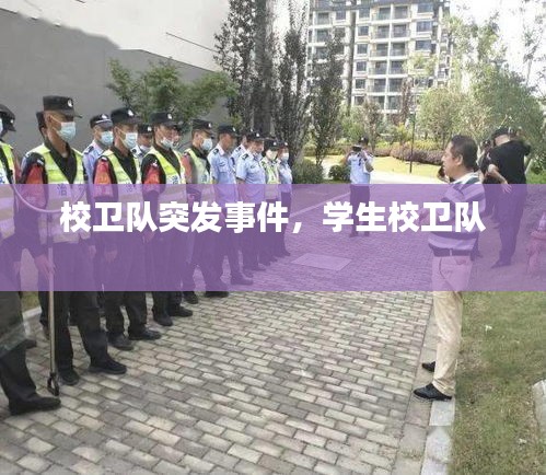 校卫队突发事件，学生校卫队 