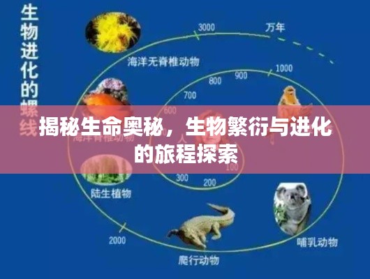 揭秘生命奥秘，生物繁衍与进化的旅程探索