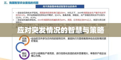 应对突发情况的智慧与策略