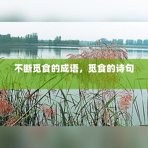 不断觅食的成语，觅食的诗句 