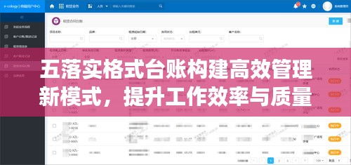 五落实格式台账构建高效管理新模式，提升工作效率与质量