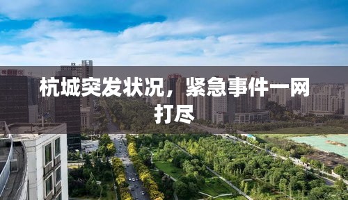 杭城突发状况，紧急事件一网打尽