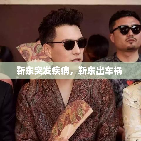 靳东突发疾病，靳东出车祸 