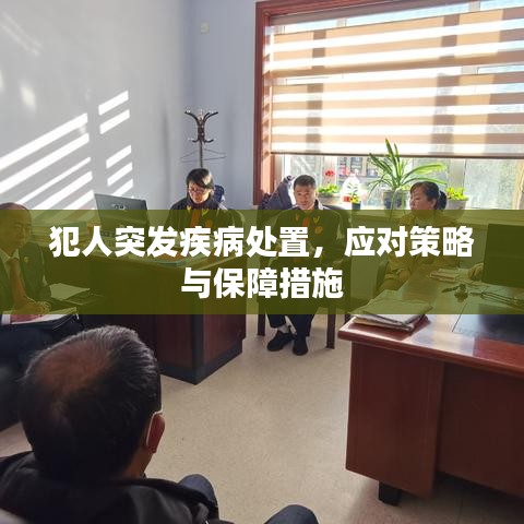 犯人突发疾病处置，应对策略与保障措施