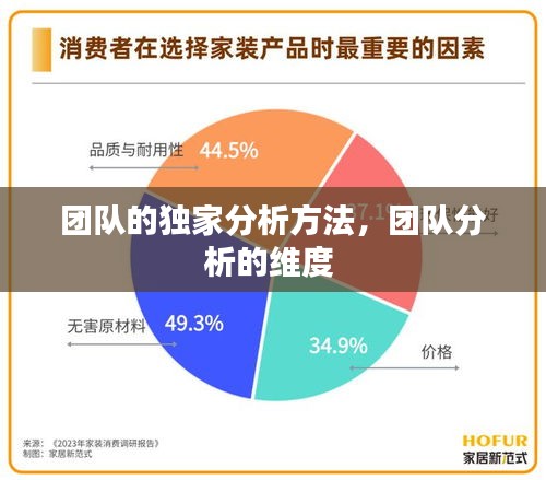 团队的独家分析方法，团队分析的维度 