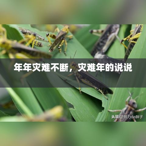 年年灾难不断，灾难年的说说 