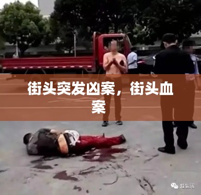 街头突发凶案，街头血案 