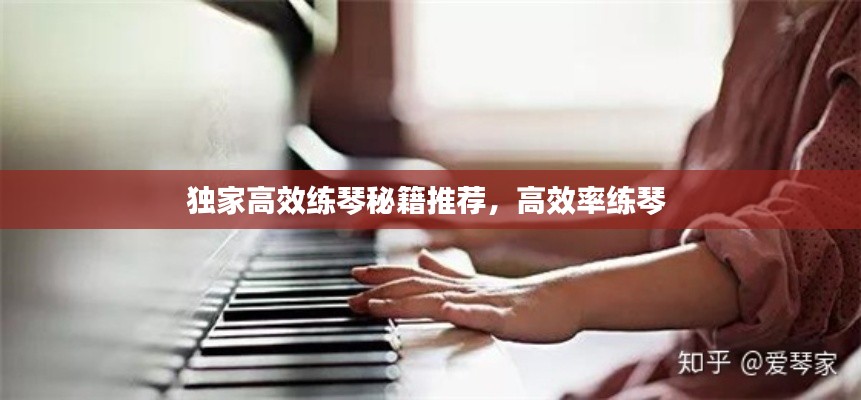 独家高效练琴秘籍推荐，高效率练琴 