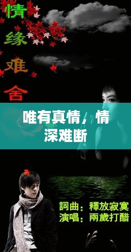 唯有真情，情深难断
