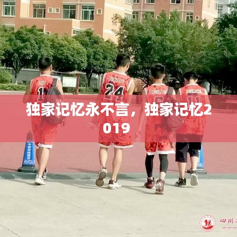 独家记忆永不言，独家记忆2019 