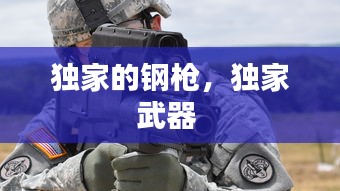 独家的钢枪，独家武器 