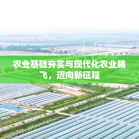 农业基础夯实与现代化农业腾飞，迈向新征程
