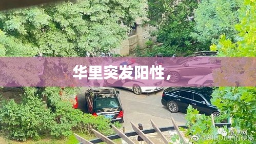 夫妻本是同 第2页