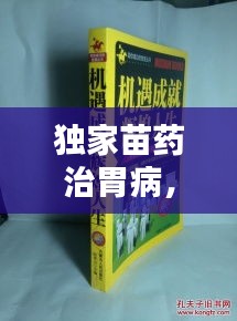 独家苗药治胃病，古老智慧绽放现代光芒