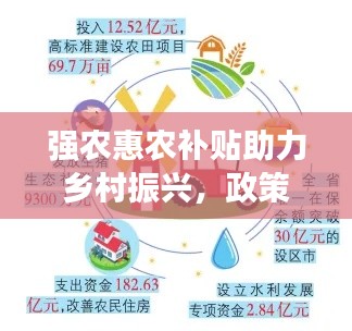 强农惠农补贴助力乡村振兴，政策落实成效显著