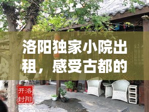 洛阳独家小院出租，感受古都的静谧与独特韵味