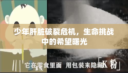 少年肝脏破裂危机，生命挑战中的希望曙光