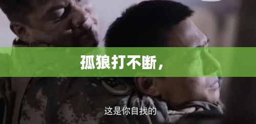 孤狼打不断， 