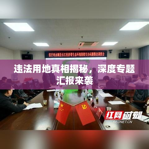 违法用地真相揭秘，深度专题汇报来袭