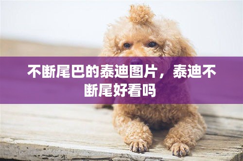 萍水相逢 第2页