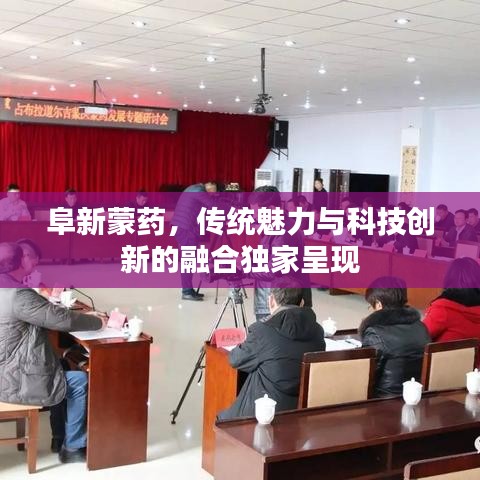 阜新蒙药，传统魅力与科技创新的融合独家呈现
