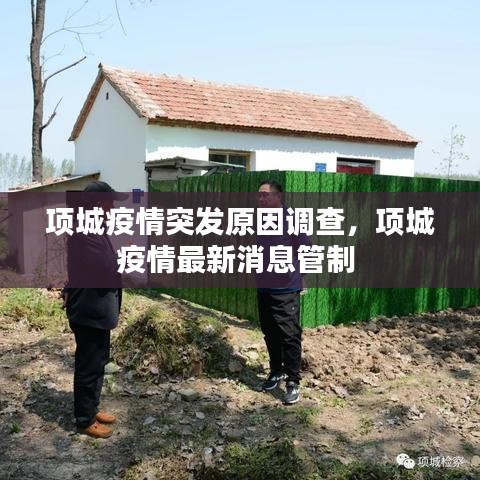 项城疫情突发原因调查，项城疫情最新消息管制 