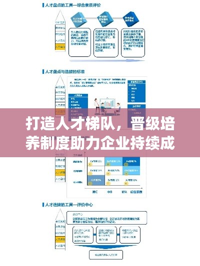 打造人才梯队，晋级培养制度助力企业持续成长