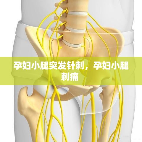 孕妇小腿突发针刺，孕妇小腿刺痛 