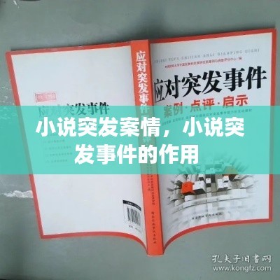 小说突发案情，小说突发事件的作用 
