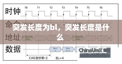 突发长度为bl，突发长度是什么 