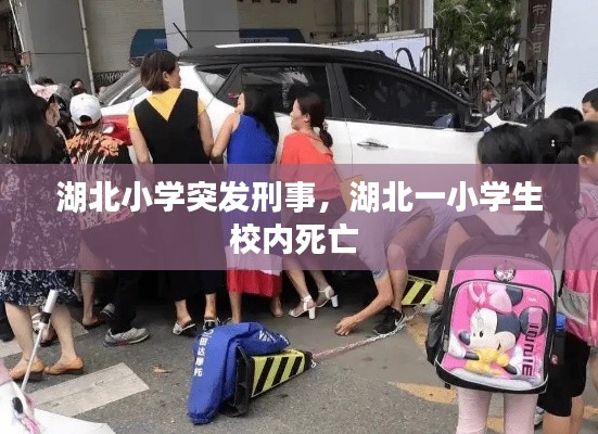 湖北小学突发刑事，湖北一小学生校内死亡 