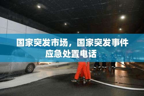 国家突发市场，国家突发事件应急处置电话 