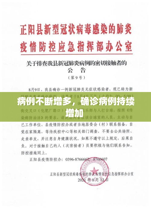 病例不断增多，确诊病例持续增加 