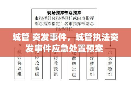 城管 突发事件，城管执法突发事件应急处置预案 