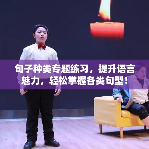 句子种类专题练习，提升语言魅力，轻松掌握各类句型！