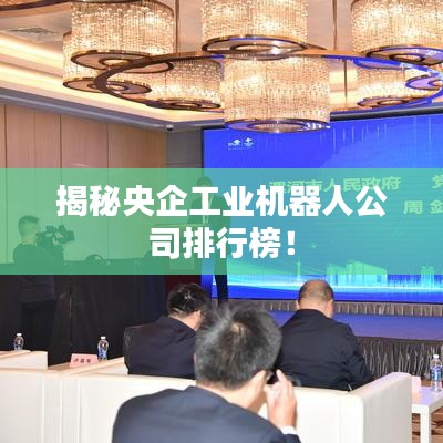 雍容华贵 第2页
