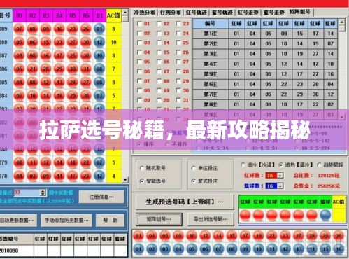 拉萨选号秘籍，最新攻略揭秘