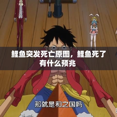 鲤鱼突发死亡原图，鲤鱼死了有什么预兆 
