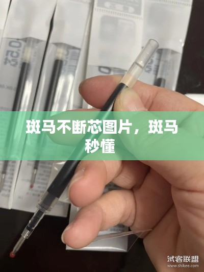 斑马不断芯图片，斑马秒懂 