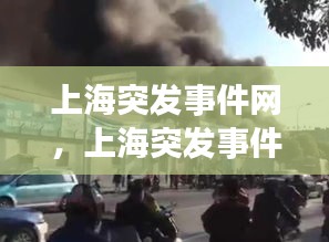 上海突发事件网，上海突发事件凶杀案 